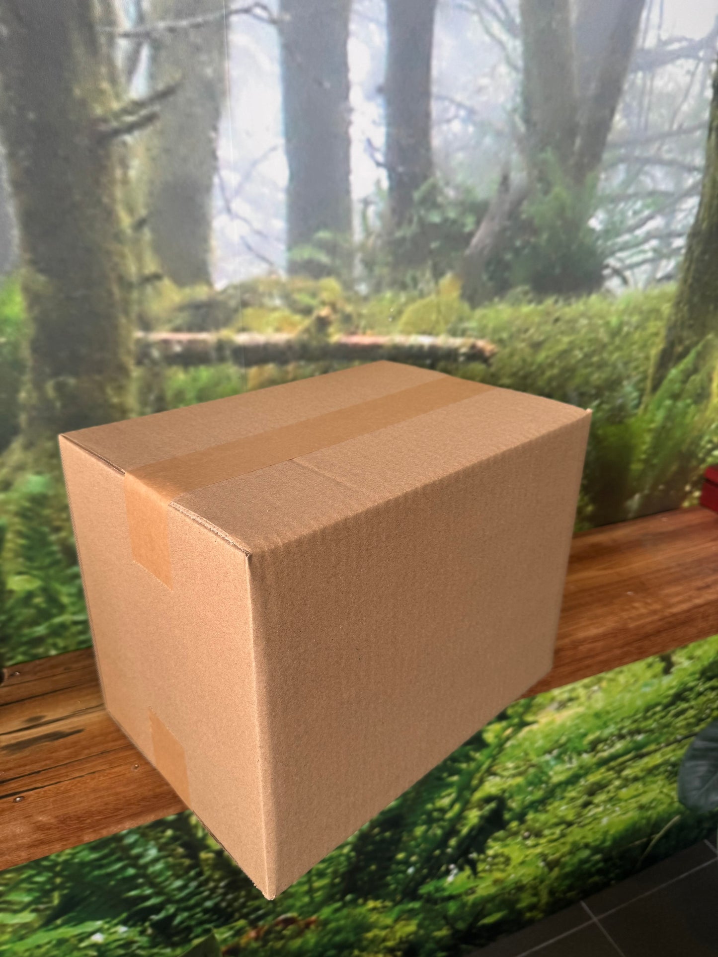 Biodegradable Brown Kraft Tape