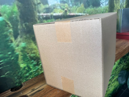 Biodegradable Brown Kraft Tape