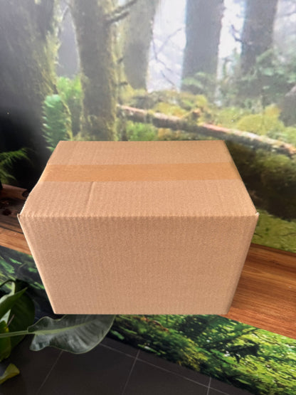 Biodegradable Brown Kraft Tape