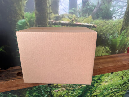 Biodegradable Brown Kraft Tape